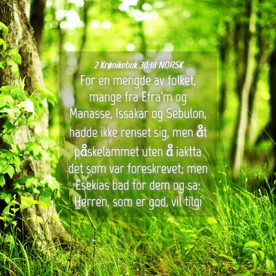 Picture 04 - 2 Krønikebok 30:18 NORSK - For en mengde av folket, mange fra Efra'm og - Bible Verse Picture