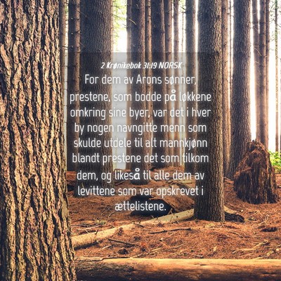 Picture 04 - 2 Krønikebok 31:19 NORSK - For dem av Arons sønner, prestene, som bodde på - Bible Verse Picture