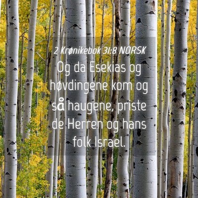 Picture 04 - 2 Krønikebok 31:8 NORSK - Og da Esekias og høvdingene kom og så haugene, - Bible Verse Picture