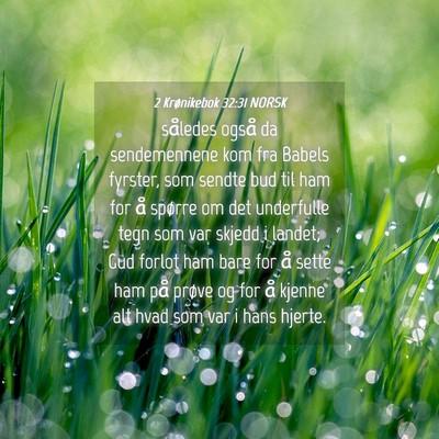Picture 04 - 2 Krønikebok 32:31 NORSK - således også da sendemennene kom fra Babels - Bible Verse Picture