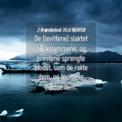 Picture 04 - 2 Krønikebok 35:11 NORSK - De {levittene} slaktet påskelammene, og prestene - Bible Verse Picture
