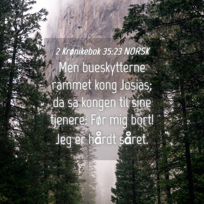 Picture 04 - 2 Krønikebok 35:23 NORSK - Men bueskytterne rammet kong Josias; da sa kongen - Bible Verse Picture
