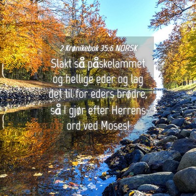 Picture 04 - 2 Krønikebok 35:6 NORSK - Slakt så påskelammet og hellige eder og lag det - Bible Verse Picture