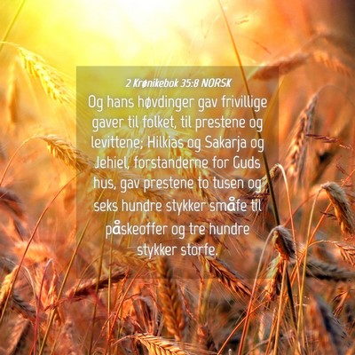 Picture 04 - 2 Krønikebok 35:8 NORSK - Og hans høvdinger gav frivillige gaver til - Bible Verse Picture
