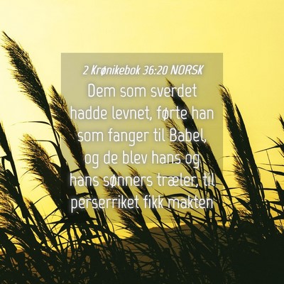 Picture 04 - 2 Krønikebok 36:20 NORSK - Dem som sverdet hadde levnet, førte han som - Bible Verse Picture