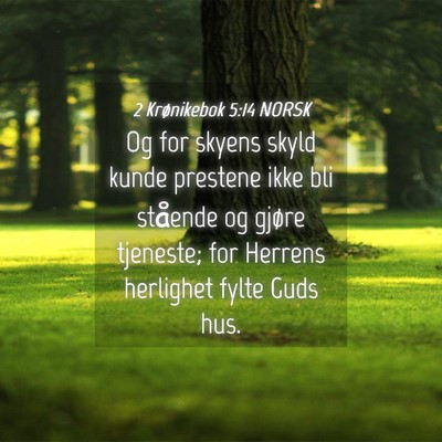 Picture 04 - 2 Krønikebok 5:14 NORSK - Og for skyens skyld kunde prestene ikke bli - Bible Verse Picture