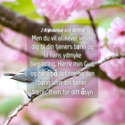 Picture 04 - 2 Krønikebok 6:19 NORSK - Men du vil allikevel vende dig til din tjeners - Bible Verse Picture