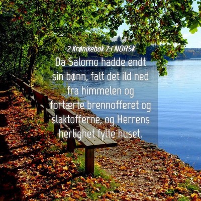 Picture 04 - 2 Krønikebok 7:1 NORSK - Da Salomo hadde endt sin bønn, falt det ild ned - Bible Verse Picture