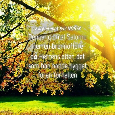 Picture 04 - 2 Krønikebok 8:12 NORSK - Dengang ofret Salomo Herren brennoffere på - Bible Verse Picture