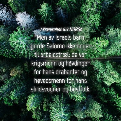 Picture 04 - 2 Krønikebok 8:9 NORSK - Men av Israels barn gjorde Salomo ikke nogen til - Bible Verse Picture