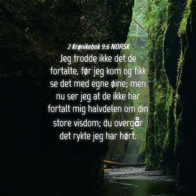 Picture 04 - 2 Krønikebok 9:6 NORSK - Jeg trodde ikke det de fortalte, før jeg kom og - Bible Verse Picture