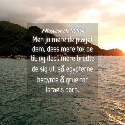Picture 04 - 2 Mosebok 1:12 NORSK - Men jo mere de plaget dem, dess mere tok de til, - Bible Verse Picture