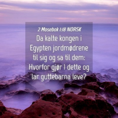Picture 04 - 2 Mosebok 1:18 NORSK - Da kalte kongen i Egypten jordmødrene til sig og - Bible Verse Picture