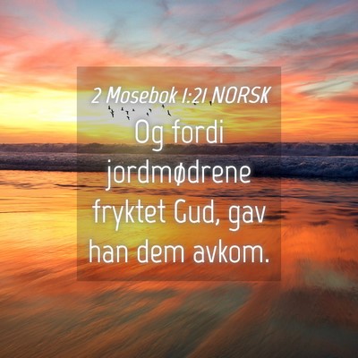 Picture 04 - 2 Mosebok 1:21 NORSK - Og fordi jordmødrene fryktet Gud, gav han dem - Bible Verse Picture