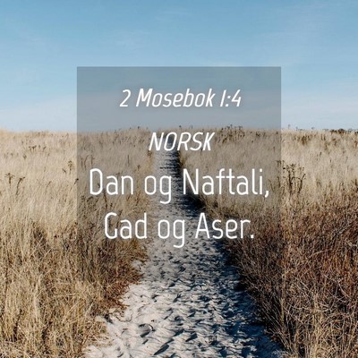 Picture 04 - 2 Mosebok 1:4 NORSK - Dan og Naftali, Gad og - Bible Verse Picture