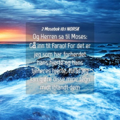 Picture 04 - 2 Mosebok 10:1 NORSK - Og Herren sa til Moses: Gå inn til Farao! For - Bible Verse Picture