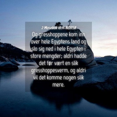Picture 04 - 2 Mosebok 10:14 NORSK - Og gresshoppene kom inn over hele Egyptens land - Bible Verse Picture