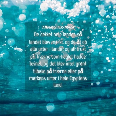 Picture 04 - 2 Mosebok 10:15 NORSK - De dekket hele landet, så landet blev mørkt, og - Bible Verse Picture