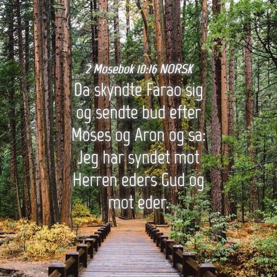 Picture 04 - 2 Mosebok 10:16 NORSK - Da skyndte Farao sig og sendte bud efter Moses og - Bible Verse Picture