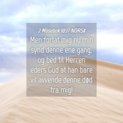Picture 04 - 2 Mosebok 10:17 NORSK - Men forlat mig nu min synd denne ene gang, og bed - Bible Verse Picture