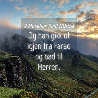 Picture 04 - 2 Mosebok 10:18 NORSK - Og han gikk ut igjen fra Farao og bad til - Bible Verse Picture