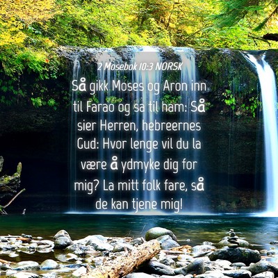 Picture 04 - 2 Mosebok 10:3 NORSK - Så gikk Moses og Aron inn til Farao og sa til - Bible Verse Picture