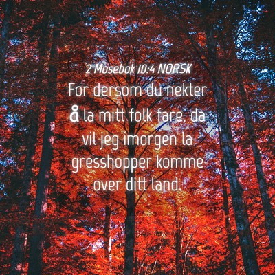 Picture 04 - 2 Mosebok 10:4 NORSK - For dersom du nekter å la mitt folk fare, da vil - Bible Verse Picture