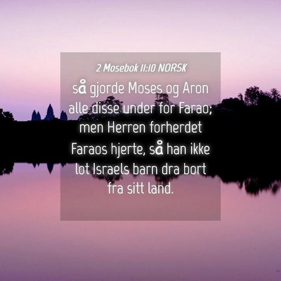 Picture 04 - 2 Mosebok 11:10 NORSK - så gjorde Moses og Aron alle disse under for - Bible Verse Picture