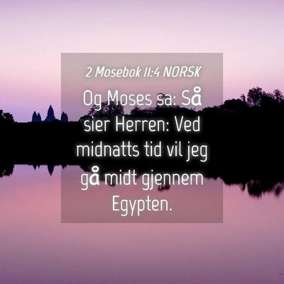 Picture 04 - 2 Mosebok 11:4 NORSK - Og Moses sa: Så sier Herren: Ved midnatts tid - Bible Verse Picture