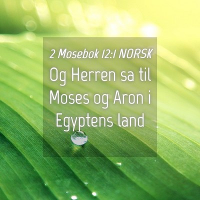Picture 04 - 2 Mosebok 12:1 NORSK - Og Herren sa til Moses og Aron i Egyptens - Bible Verse Picture