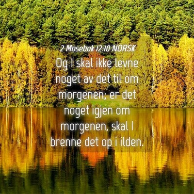 Picture 04 - 2 Mosebok 12:10 NORSK - Og I skal ikke levne noget av det til om - Bible Verse Picture