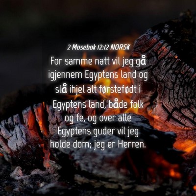 Picture 04 - 2 Mosebok 12:12 NORSK - For samme natt vil jeg gå igjennem Egyptens land - Bible Verse Picture