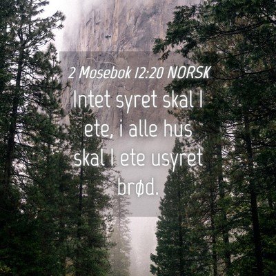 Picture 04 - 2 Mosebok 12:20 NORSK - Intet syret skal I ete, i alle hus skal I ete - Bible Verse Picture