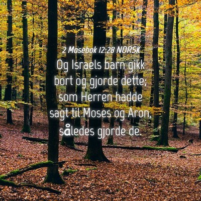 Picture 04 - 2 Mosebok 12:28 NORSK - Og Israels barn gikk bort og gjorde dette; som - Bible Verse Picture