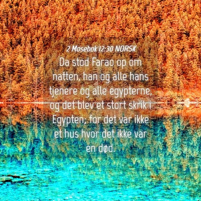 Picture 04 - 2 Mosebok 12:30 NORSK - Da stod Farao op om natten, han og alle hans - Bible Verse Picture