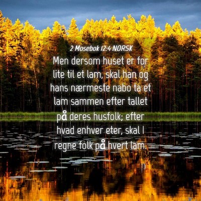 Picture 04 - 2 Mosebok 12:4 NORSK - Men dersom huset er for lite til et lam, skal han - Bible Verse Picture
