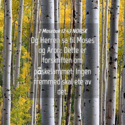 Picture 04 - 2 Mosebok 12:43 NORSK - Og Herren sa til Moses og Aron: Dette er - Bible Verse Picture