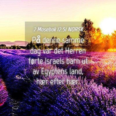 Picture 04 - 2 Mosebok 12:51 NORSK - På denne samme dag var det Herren førte Israels - Bible Verse Picture