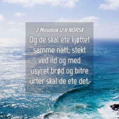 Picture 04 - 2 Mosebok 12:8 NORSK - Og de skal ete kjøttet samme natt; stekt ved ild - Bible Verse Picture