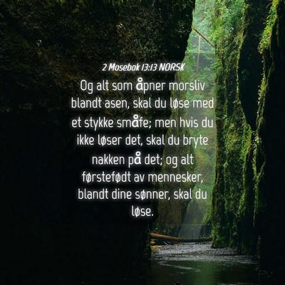 Picture 04 - 2 Mosebok 13:13 NORSK - Og alt som åpner morsliv blandt asen, skal du - Bible Verse Picture