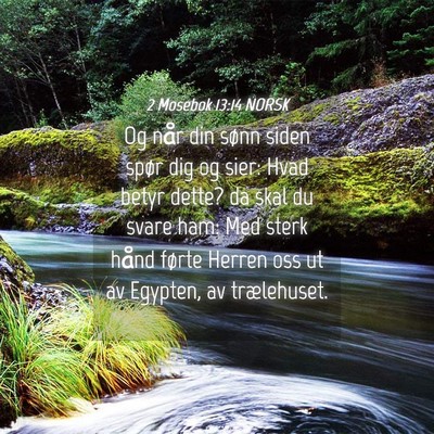 Picture 04 - 2 Mosebok 13:14 NORSK - Og når din sønn siden spør dig og sier: Hvad - Bible Verse Picture