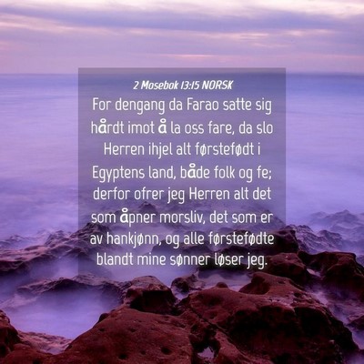 Picture 04 - 2 Mosebok 13:15 NORSK - For dengang da Farao satte sig hårdt imot å la - Bible Verse Picture