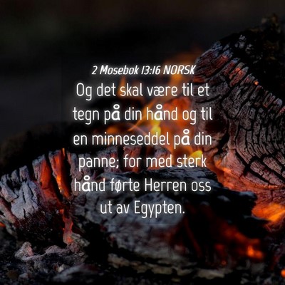 Picture 04 - 2 Mosebok 13:16 NORSK - Og det skal være til et tegn på din hånd og - Bible Verse Picture
