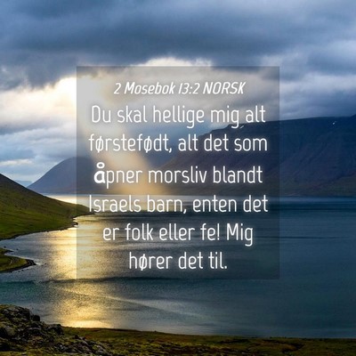 Picture 04 - 2 Mosebok 13:2 NORSK - Du skal hellige mig alt førstefødt, alt det som - Bible Verse Picture