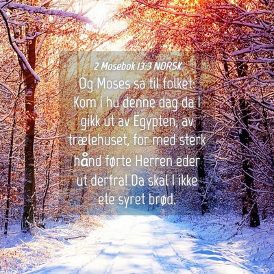 Picture 04 - 2 Mosebok 13:3 NORSK - Og Moses sa til folket: Kom i hu denne dag da I - Bible Verse Picture