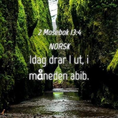 Picture 04 - 2 Mosebok 13:4 NORSK - Idag drar I ut, i måneden - Bible Verse Picture