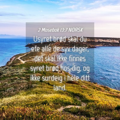 Picture 04 - 2 Mosebok 13:7 NORSK - Usyret brød skal du ete alle de syv dager, det - Bible Verse Picture