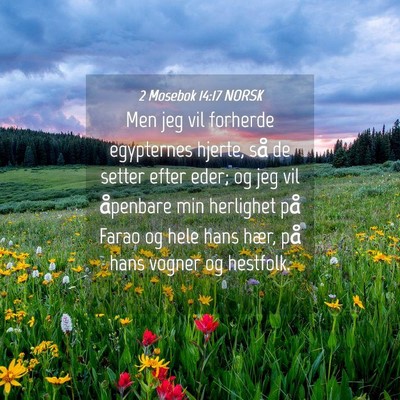 Picture 04 - 2 Mosebok 14:17 NORSK - Men jeg vil forherde egypternes hjerte, så de - Bible Verse Picture