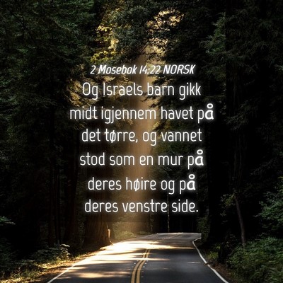 Picture 04 - 2 Mosebok 14:22 NORSK - Og Israels barn gikk midt igjennem havet på det - Bible Verse Picture
