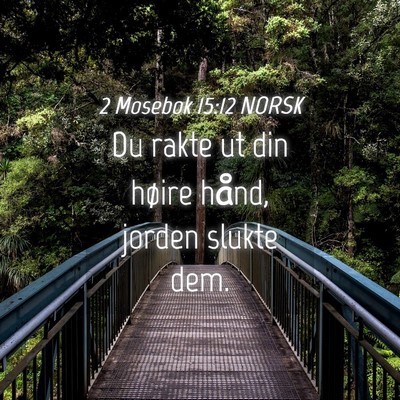 Picture 04 - 2 Mosebok 15:12 NORSK - Du rakte ut din høire hånd, jorden slukte - Bible Verse Picture